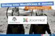 Diving into WordPress and Joomla - A CMS Comparison
