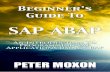Beginner’s guide to sap abap 1