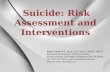 Suicide Risk Assessment and Interventions - no videos