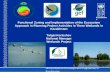 Functional zoning and implementation of the ecosystem approach  kerteshev wetlands_2011_may_eng