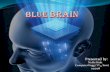 Blue Brain-Nidhi Bisht