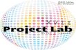 XVII Project Lab