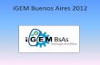 Biologia Sintetica - iGEM Team Argentina (2012)