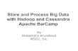 Store and Process Big Data with Hadoop and Cassandra