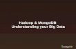 MongoDB & Hadoop - Understanding Your Big Data