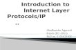 internet layer protocol