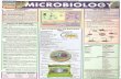 Bar charts quickstudy microbiology