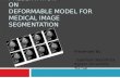 Presentation on deformable model for medical image segmentation