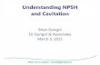 NPSH and pump cavitation