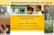 Biofortification of rice