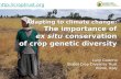 The role of ex situ crop diversity conservation in adaptation to climate change