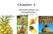 Chapter 1 intro to hospitality and tourism