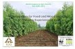 Session 3.1 agroforestry for wood and food security