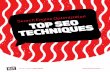 Search Engine Optimization (SEO) Techniques by Hot Potato Social Media