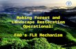 Day 3 FAO Making Forest and Landscape Restoration Operational:  FAO’s FLR Mechanismd