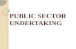 Public sector undertaking (PSU)