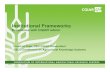 Institutional Frameworks, Experience with CGIAR reform