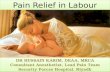 Pain  Relief In  Labour1