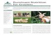 Ruminant Nutrition for Graziers