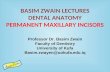 Permanent maxillary incisors