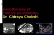 Endotherapy in Chronic Pancreatitis