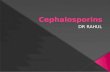 Cephalosporins : Dr Rahul Kunkulol's Power point Presentations