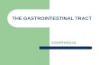 13..the gastrointestinal tract pathology