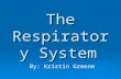 The Respiratory System By: Kristin Greene