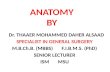 Anatomy nazeen batch cranial nerves