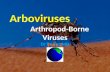 Arbovirus part 2