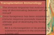 Transplantation and tumor immunology