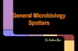 General microbiology spotters By Dr Sudheer Kher MD HOD Microbiology