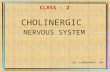 Class   2, cholinergic