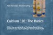 Calcium 101 The Fundamentals of Calcium