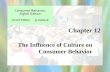 Consumer Behaviour- Influence of culture