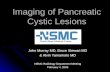 Cystic pancreatic lesions