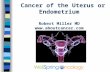 Uterus video