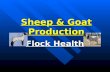 8. sheep goat   health
