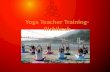 Yoga Teacher Training in Rishikesh | Yoga Teacher Training India