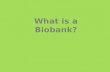 What Is A Biobank Updated