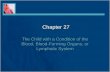 Chapter 27 Power Point