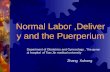 6.Normal Labor,Delivery And The Puerperium