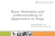 Basic Restraint and Understanding of Aggression in Dogs