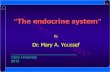 Endocrine System - Physiology