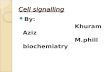 Cell signalling   2