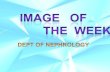 Imaging: Multiple Pulmonary Cavitary Lesions