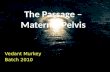 The Passage – Maternal Pelvis