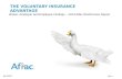 Voluntary Insurance Advantage - 2014 Broker, Employer & Employee Findings