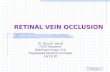 Central Retinal Vein Occlsion (CRVO)