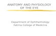 Lecture1   anatomy of the eye